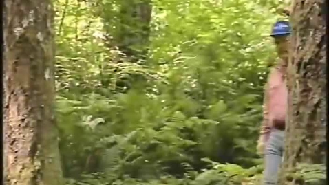 Thumbnail for The Reproductive Ecology of Broadleaved Trees and Shrubs: Pa