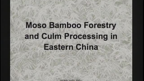 Thumbnail for Bamboo Forestry in East China