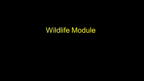 Thumbnail for entry Wildlife Module Central WA Draft Outputs - July 17, 2011