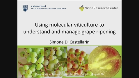 Thumbnail for entry 20150826 Using Molecular Viticulture to Understand and Manage Grape Ripening