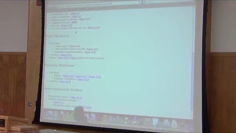 Thumbnail for BB 350 Lecture for June 4, 2010