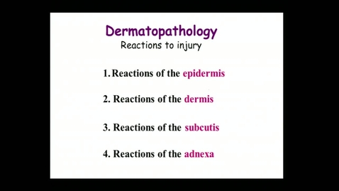 Thumbnail for Skin Lecture 2_MAGR-298LCS_2014.10.14