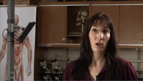 Thumbnail for Innovative Hybrid Approach to Human Anatomy Lab