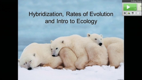 Thumbnail for MLM-026LCS_2015-05-08_10_00_41