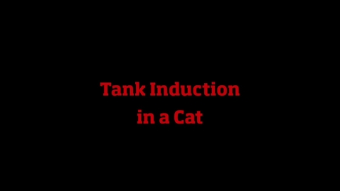 Thumbnail for Feline Tank Induction