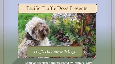 Thumbnail for 11D-May-TruffleDogs