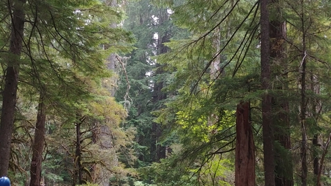 Thumbnail for Oregon Season Tracker Retreat