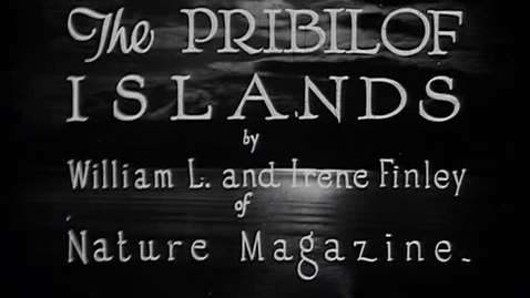 Thumbnail for "The Pribilof Islands," ca. 1930.