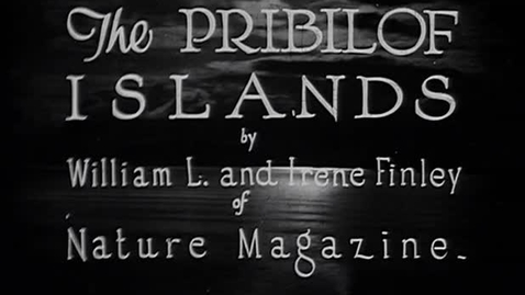 Thumbnail for entry &quot;The Pribilof Islands,&quot; ca. 1930.
