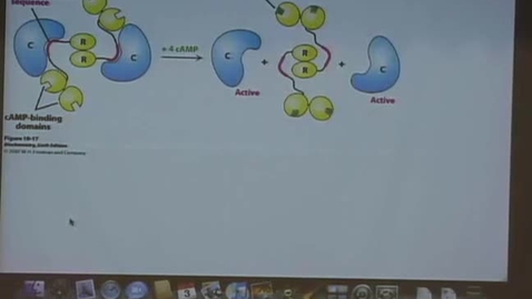 Thumbnail for BB 450/550 Lecture 15