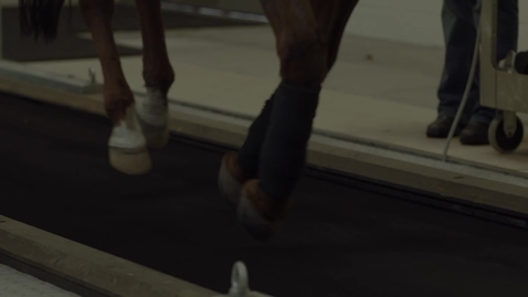 Thumbnail for OSU Vet Med Equine Hospital