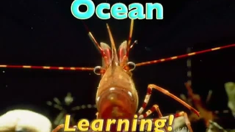 Thumbnail for entry Ocean Learning 14