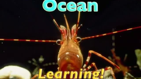 Thumbnail for Ocean Learning 14
