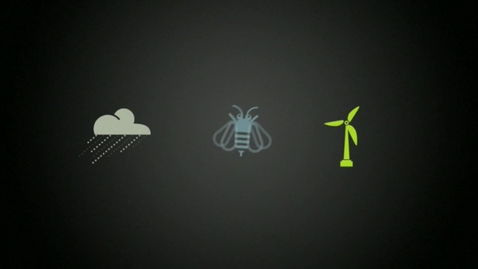 Thumbnail for BEE Student - Tessa Hanson