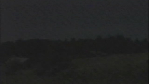 Thumbnail for &quot;What's Killing My Trees?&quot;