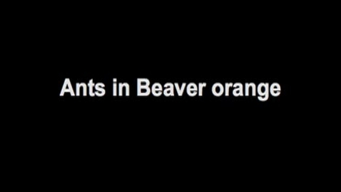 Thumbnail for Expedition to the Edge - Orange