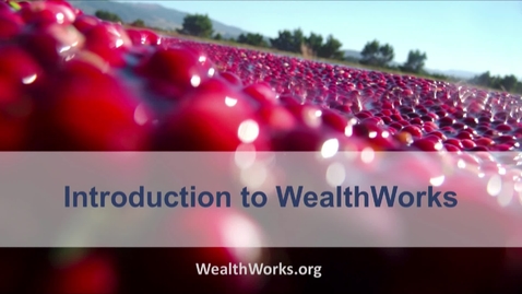 Thumbnail for Introduction to WealthWorks