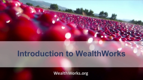 Thumbnail for entry Introduction to WealthWorks