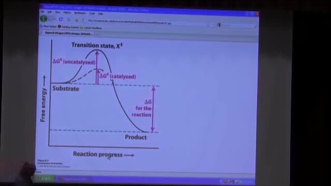 Thumbnail for BB 450 Lecture for October 21, 2009