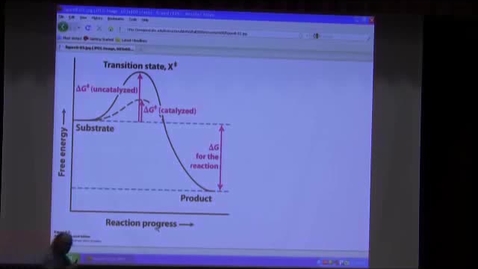 Thumbnail for BB 450 Lecture for October 19, 2009