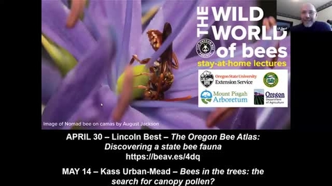 Thumbnail for entry The Wild World of Bees: She's a Bad Bee: A Closer Look at Oregon's Kleptoparasites [August Jackson]