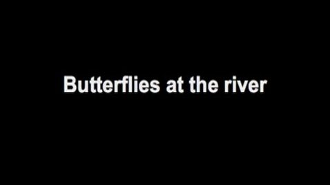 Thumbnail for Expedition to the Edge - Butterflies