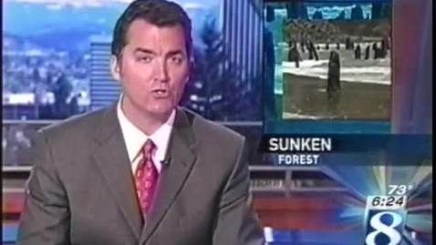 Thumbnail for Ghost Forest