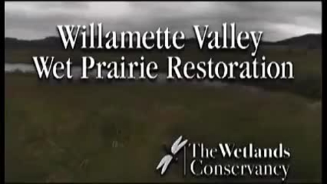 Thumbnail for entry Willamette Valley Wet Prairie Restoration