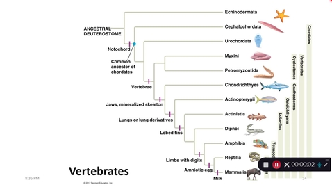 Thumbnail for Lecture12-2