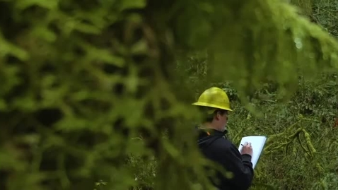 Thumbnail for Forestry home page video