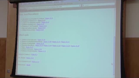 Thumbnail for BB 350 Lecture for May 26, 2010