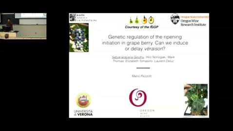 Thumbnail for Genetic regulation of the ripening initiation in grape berry. Can we induce or delay véraison? by Dr. Laurent Deluc