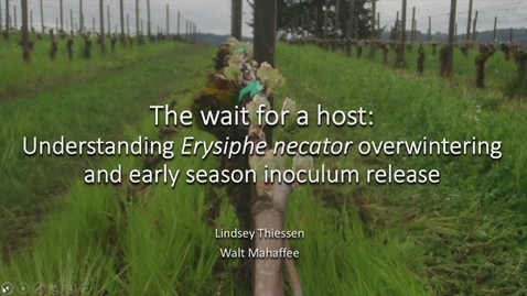 Thumbnail for 20160509 The wait for a host: Understanding Erysiphe necator overwintering and early season inoculum release