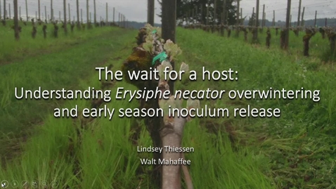 Thumbnail for entry 20160509 The wait for a host: Understanding Erysiphe necator overwintering and early season inoculum release