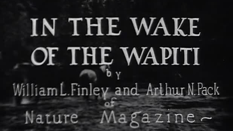 Thumbnail for entry &quot;In the Wake of the Wapiti,&quot; 1930.