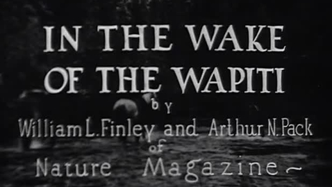 Thumbnail for "In the Wake of the Wapiti," 1930.