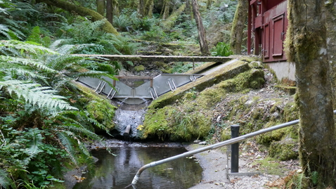 Thumbnail for Oregon Season Tracker Retreat