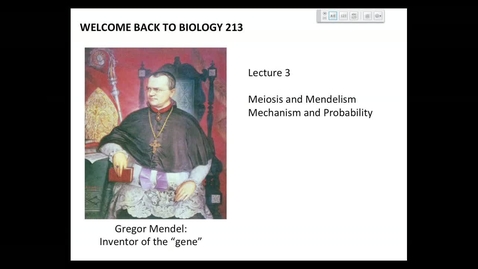 Thumbnail for BI 213 - Lecture 03