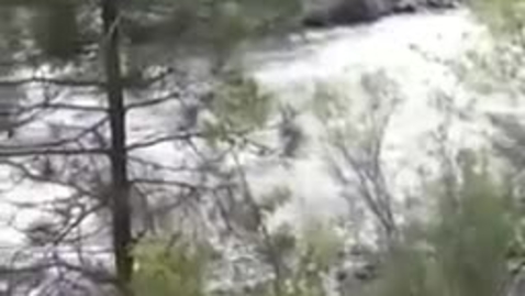 Thumbnail for Applegate River