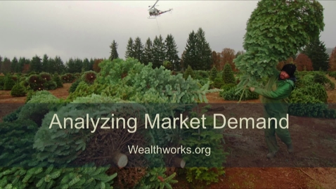 Thumbnail for Analyzing Market Demand
