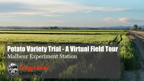 Thumbnail for entry Malheur Experiment Station Virtual Field Tour - Potato Variety Trial 