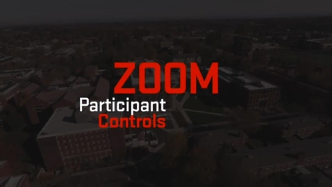 Thumbnail for Zoom | Participant Controls