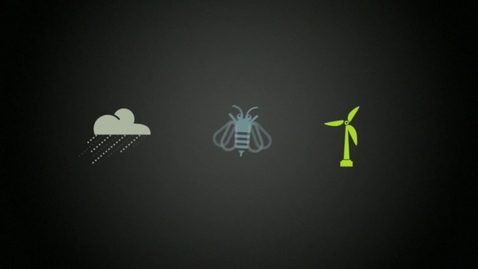 Thumbnail for BEE in the Lab - Living Solar Panels