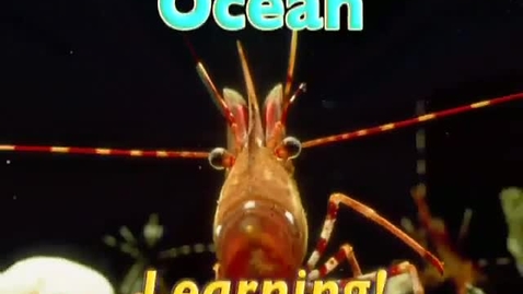 Thumbnail for entry Ocean Learning 03