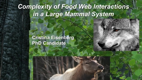 Thumbnail for entry Complexity of Food Web Interactions in a Large Mammal System