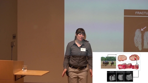 Thumbnail for Elizabeth M. Collar- 2017 Three Minute Thesis 2nd Place