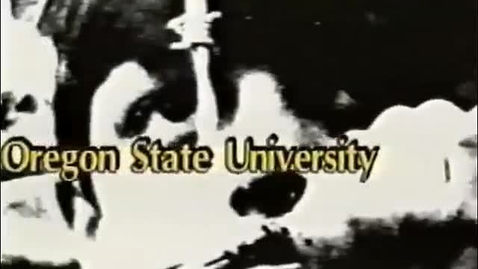 Thumbnail for Holocaust Memorial Lecture - Laurel Leff