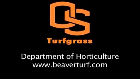 Thumbnail for Paspalum Establishment