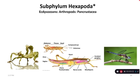 Thumbnail for Lecture11-5