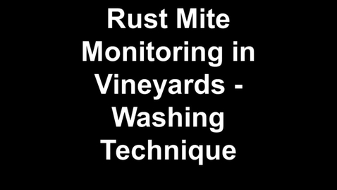 Thumbnail for 20140827 Rust Mite Monitoring in Vineyards - Washing Technique